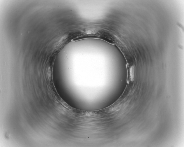 X0000093251443200710241305