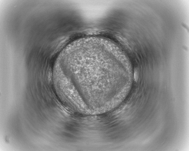 X0000093251444200710241305