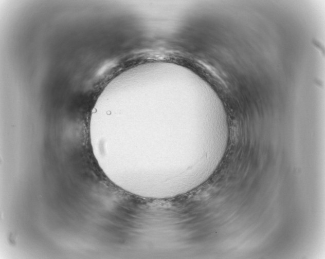 X0000093251446200710241305