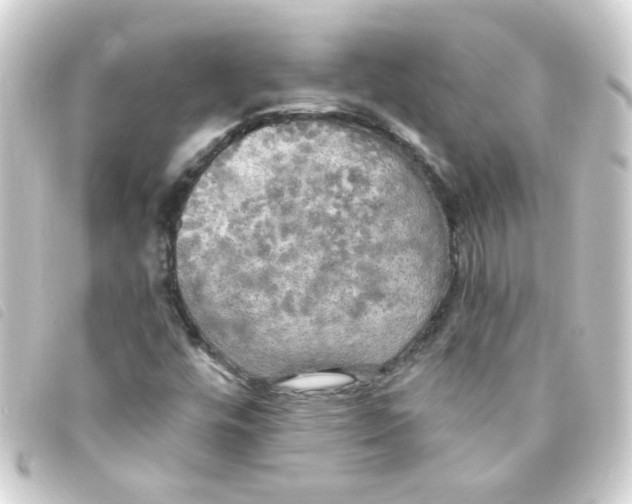 X0000093251448200710241305