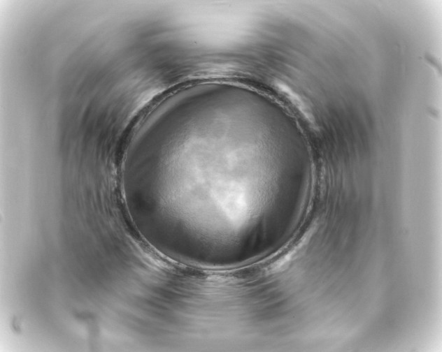 X0000093251449200710241305