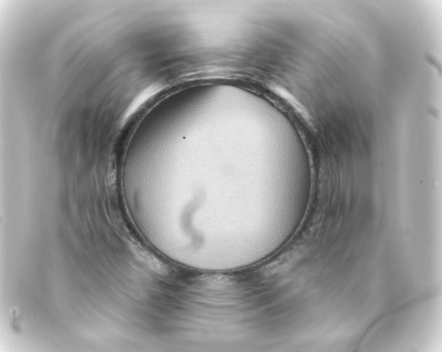 X0000093251450200710241305