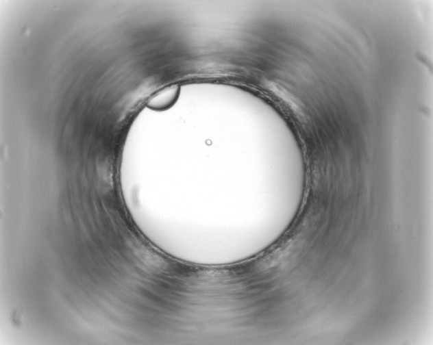 X0000093251451200710241305