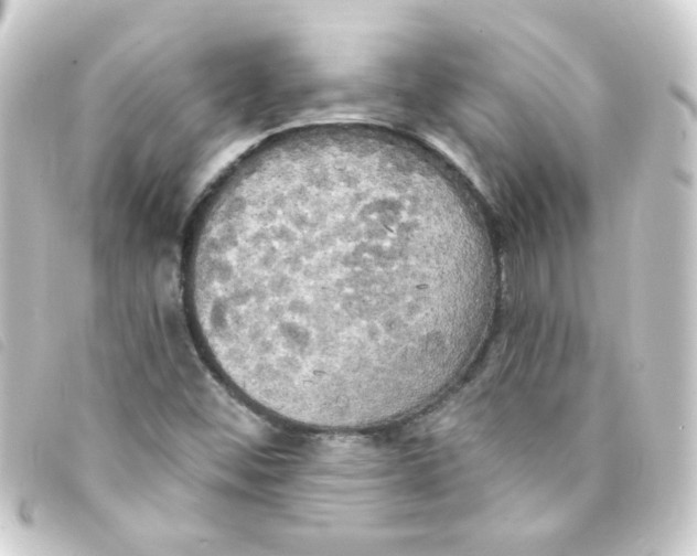 X0000093251452200710241305