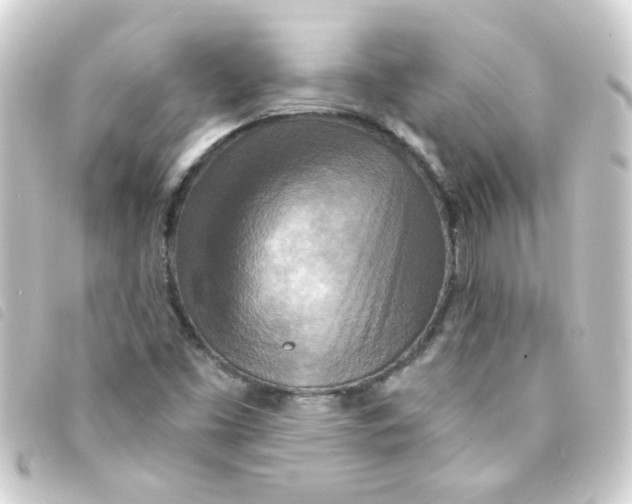 X0000093251453200710241305