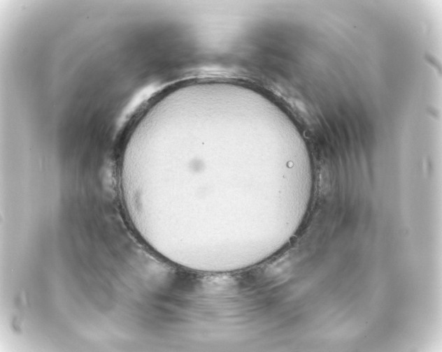 X0000093251454200710241305