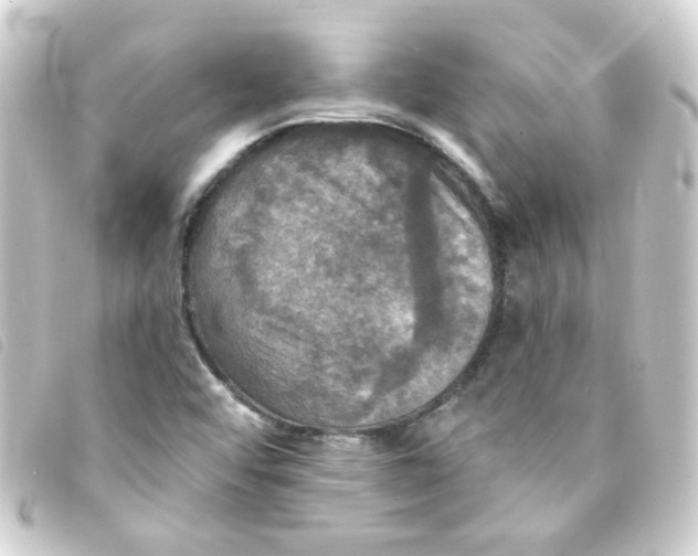 X0000093251456200710241305