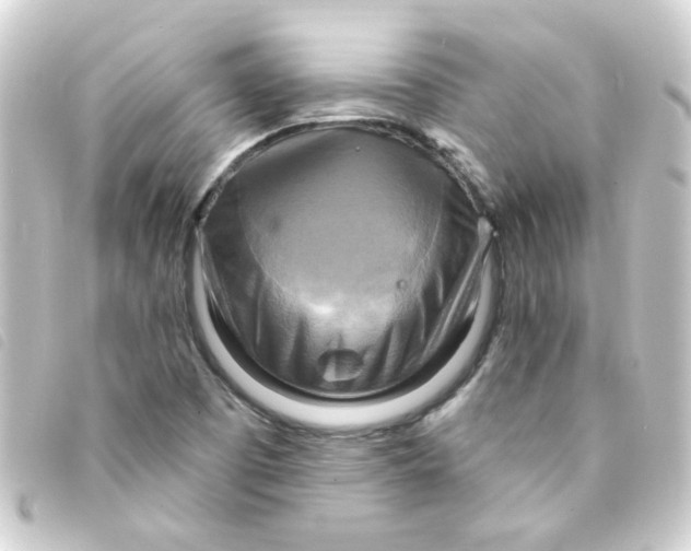 X0000093251457200710241305