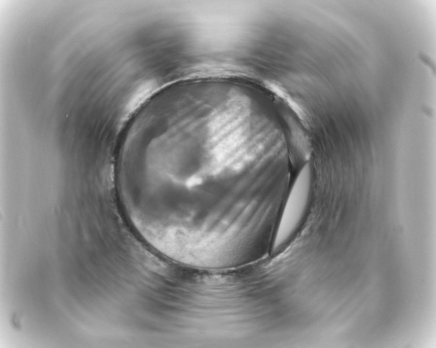 X0000093251459200710241305