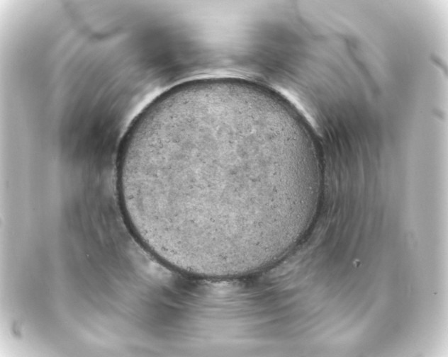 X0000093251460200710241305