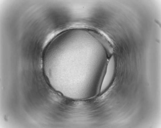 X0000093251461200710241305