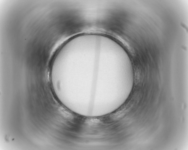 X0000093251462200710241305