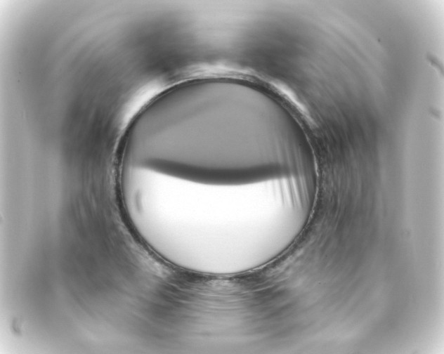 X0000093251463200710241305