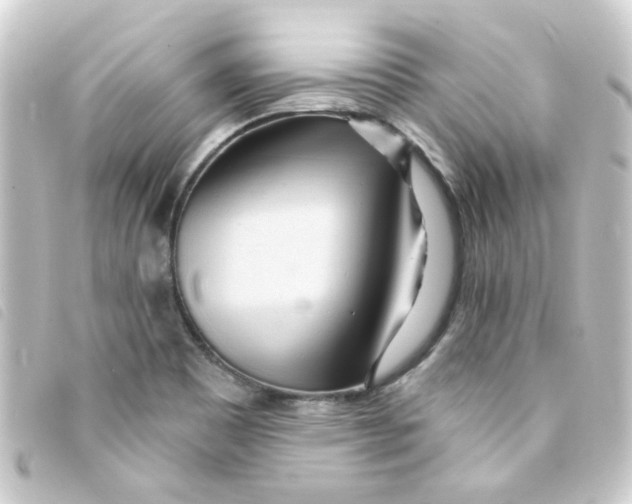 X0000093251465200710241305