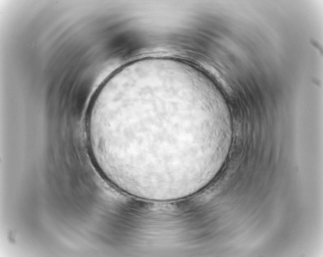 X0000093251466200710241305