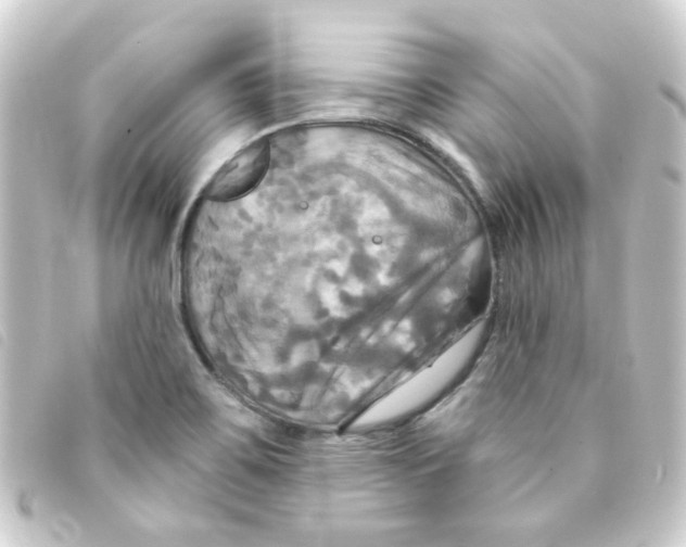 X0000093251467200710241305