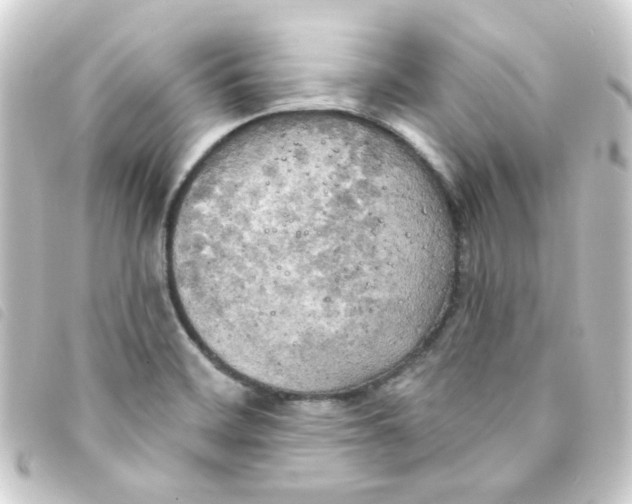 X0000093251468200710241305