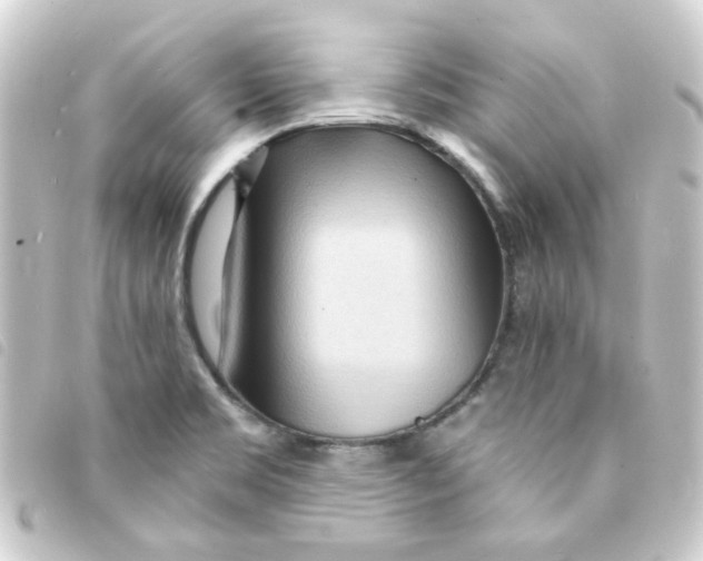 X0000093251469200710241305