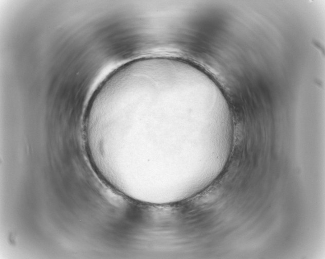 X0000093251470200710241305