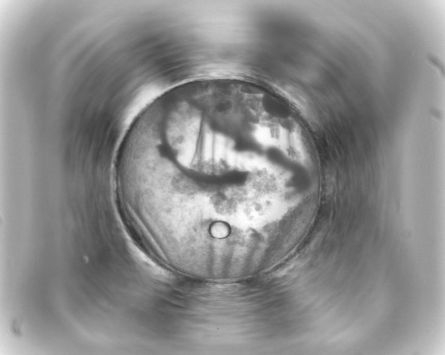 X0000093251471200710241305