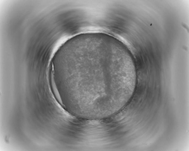 X0000093251472200710241305