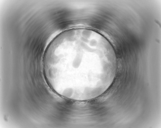 X0000093251474200710241305