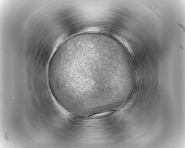 X0000093251475200710241305