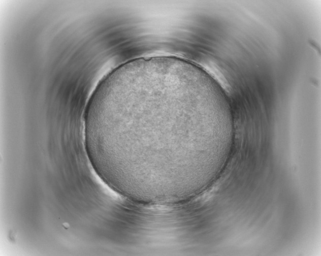 X0000093251476200710241305