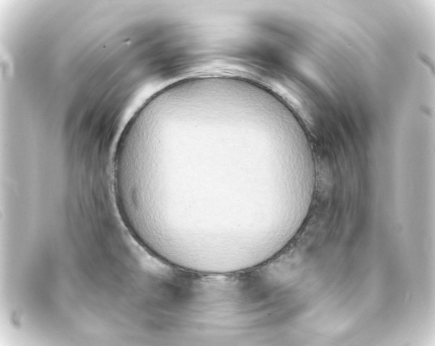 X0000093251478200710241305