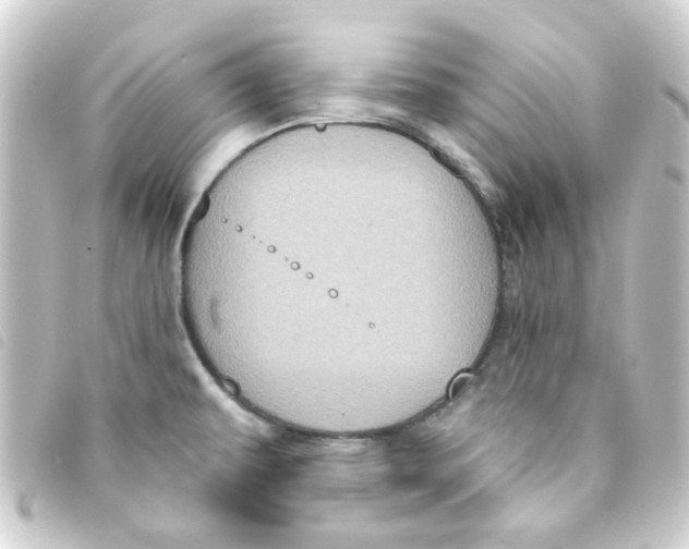 X0000093251479200710241305