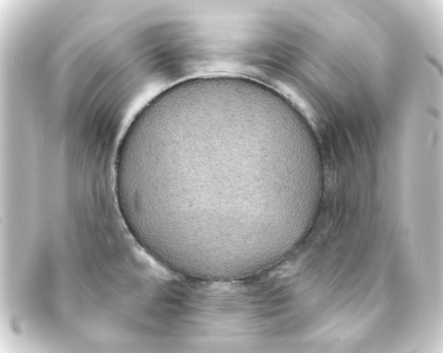 X0000093251480200710241305