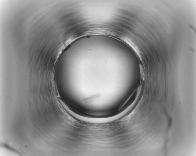 X0000093251481200710241305