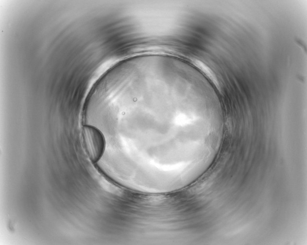 X0000093251482200710241305