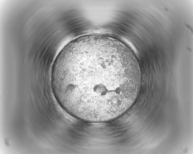 X0000093251483200710241305