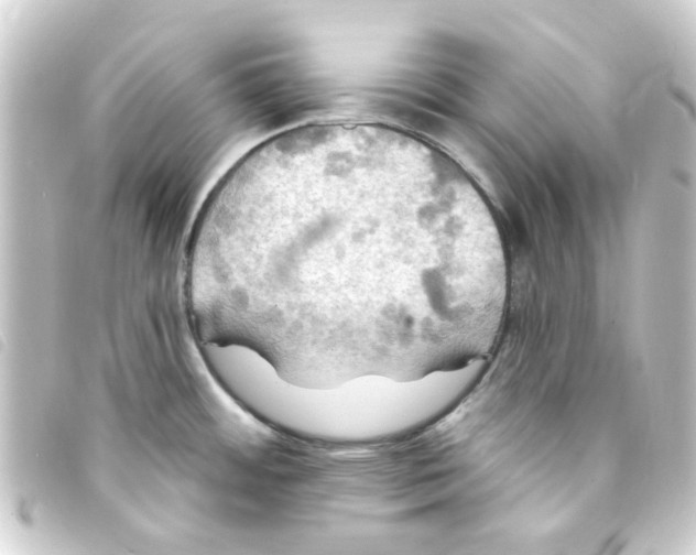 X0000093251484200710241305