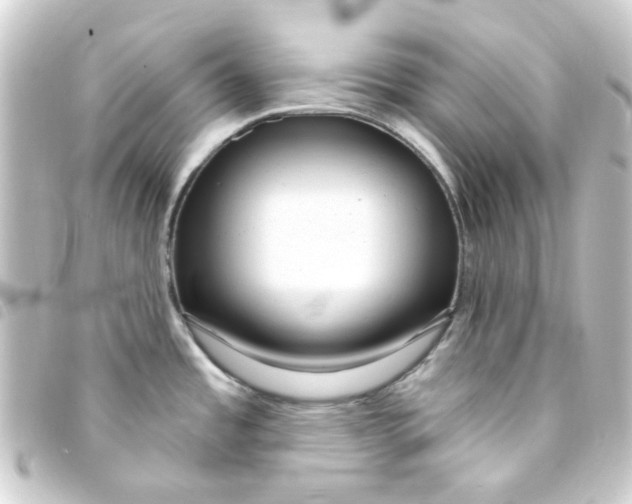 X0000093251485200710241305