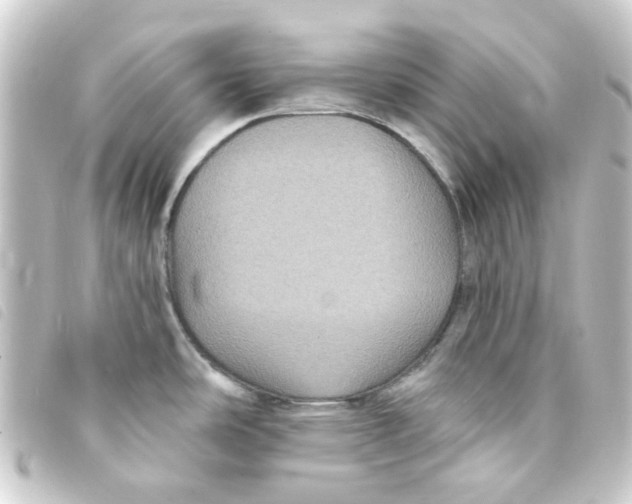 X0000093251486200710241305