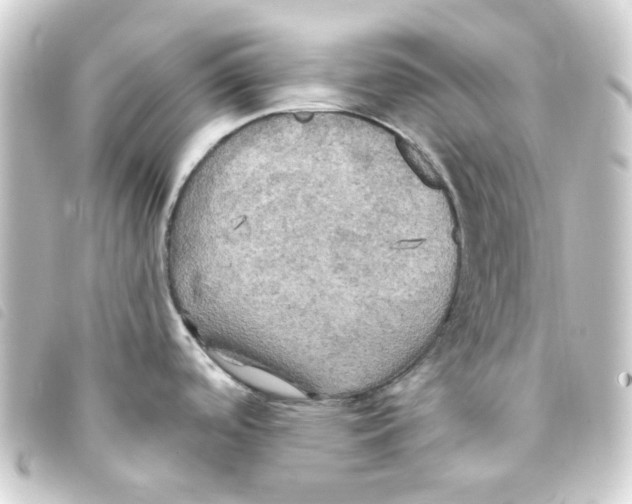 X0000093251488200710241305