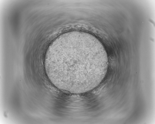 X0000093251489200710241304