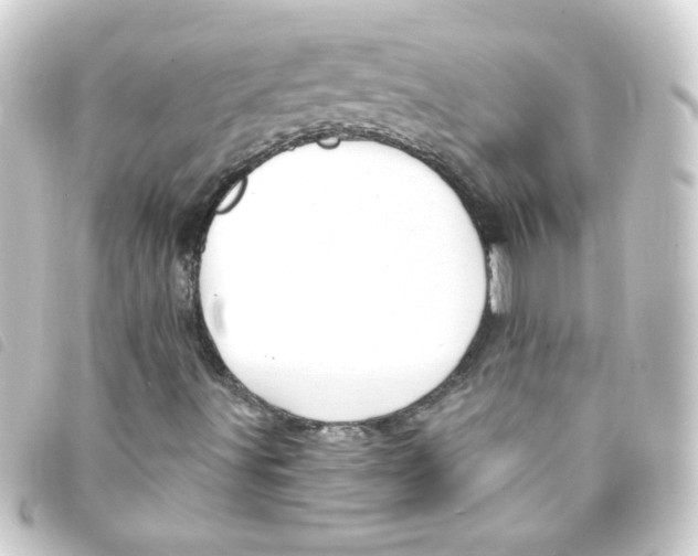 X0000093251491200710241304