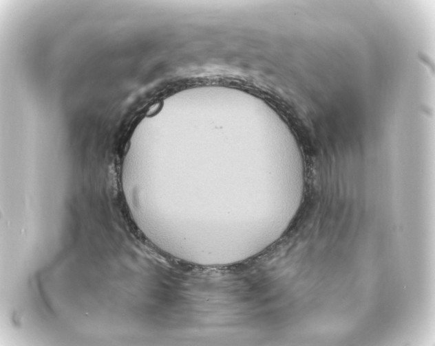 X0000093251493200710241304