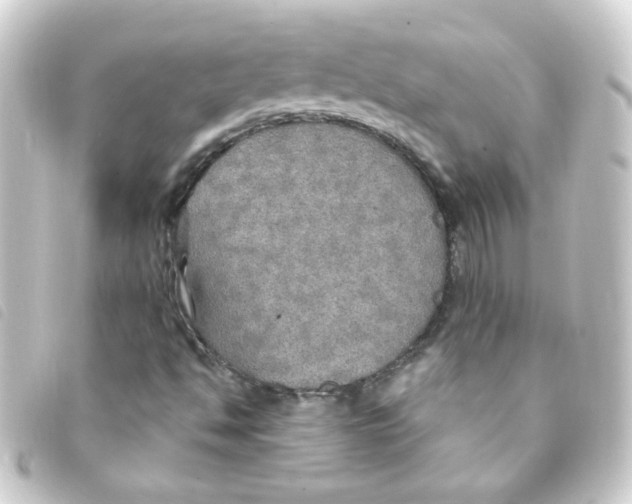 X0000093251494200710241304