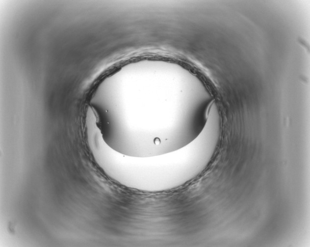 X0000093251496200710241304