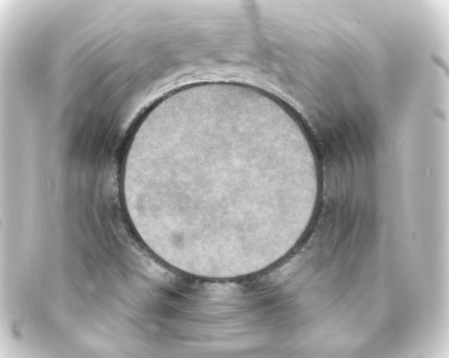 X0000093251498200710241304