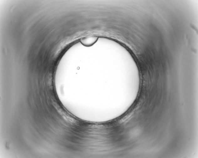 X0000093251499200710241304