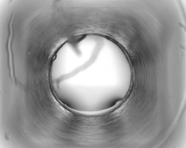 X0000093251500200710241304