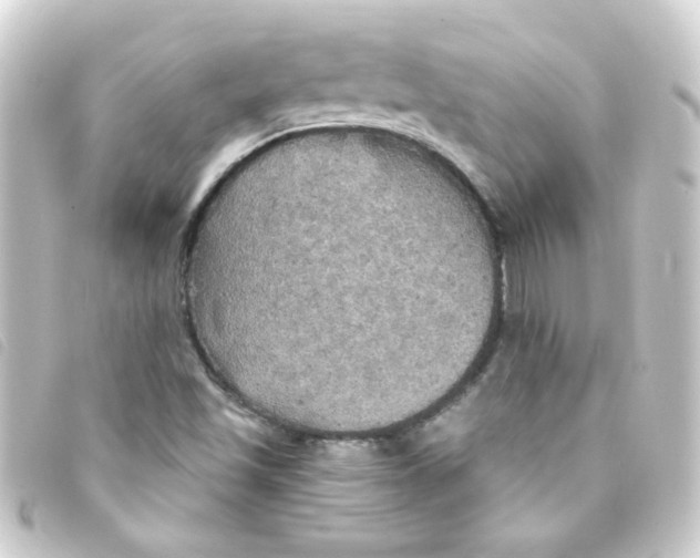 X0000093251501200710241304