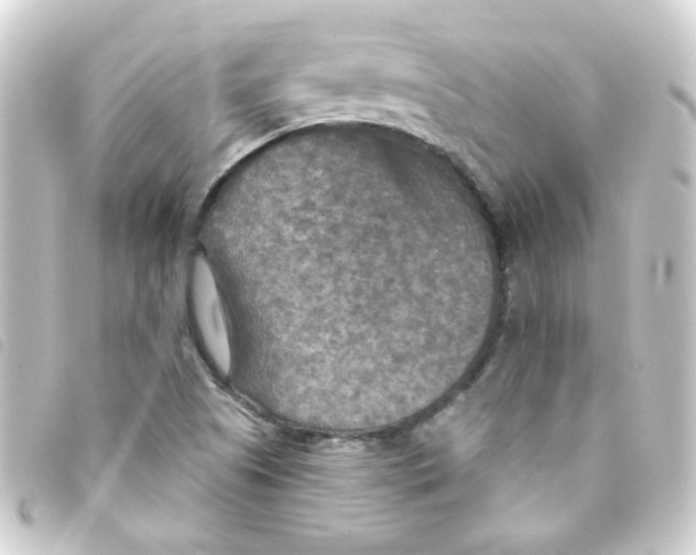 X0000093251505200710241304