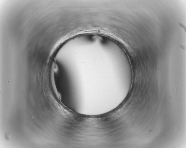 X0000093251506200710241304