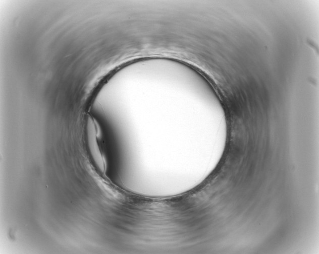 X0000093251507200710241304